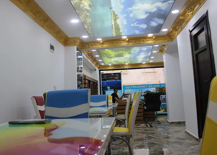 Sultanahmet Deluxe فندق